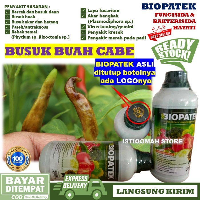 BIOPATEK Fungisida Hayati - Obat Atasi Buah Busuk Pada Cabe - Cara Mengatasi Busuk Buah Cabai/Cabe -