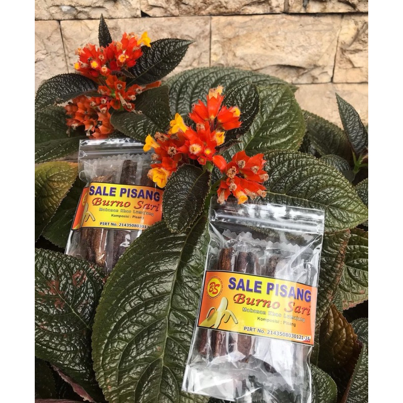 

SALE PISANG MINI 70g