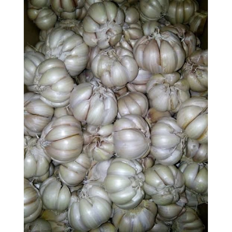

Bawang Putih Premium 1kg Murah Super