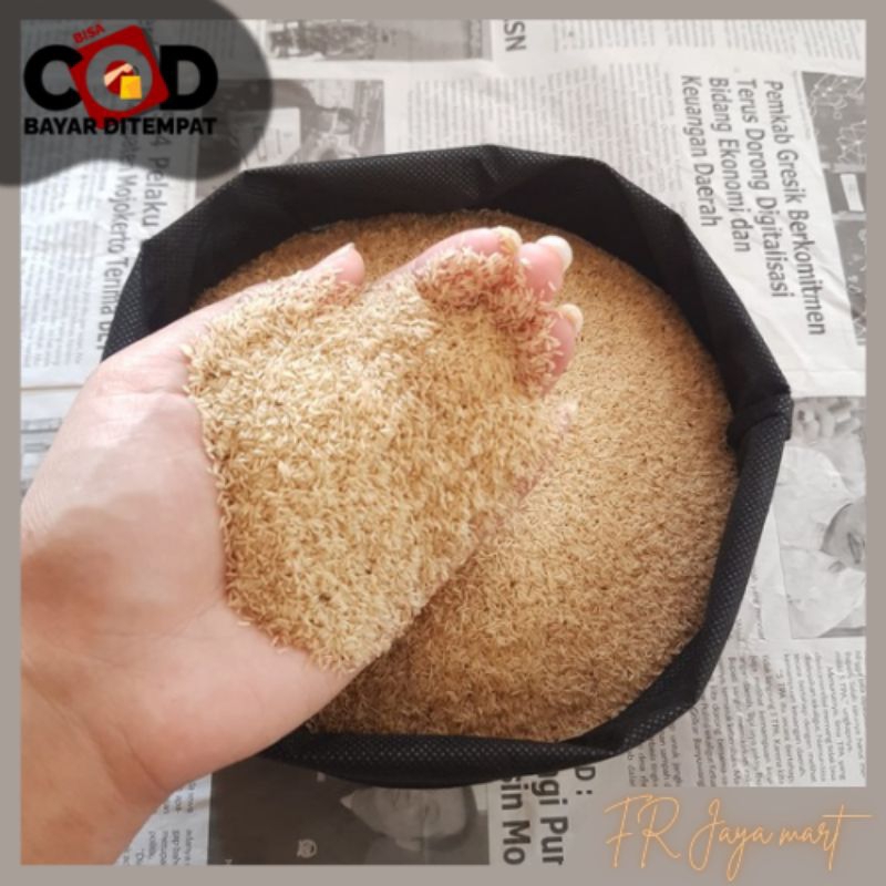 Telur Jangkrik Madu Kunyit Super Telur Jangkrik Madu Berkualitas