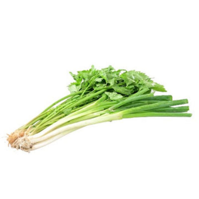 

Daun Seledri 250 gram (Bliggomarket)