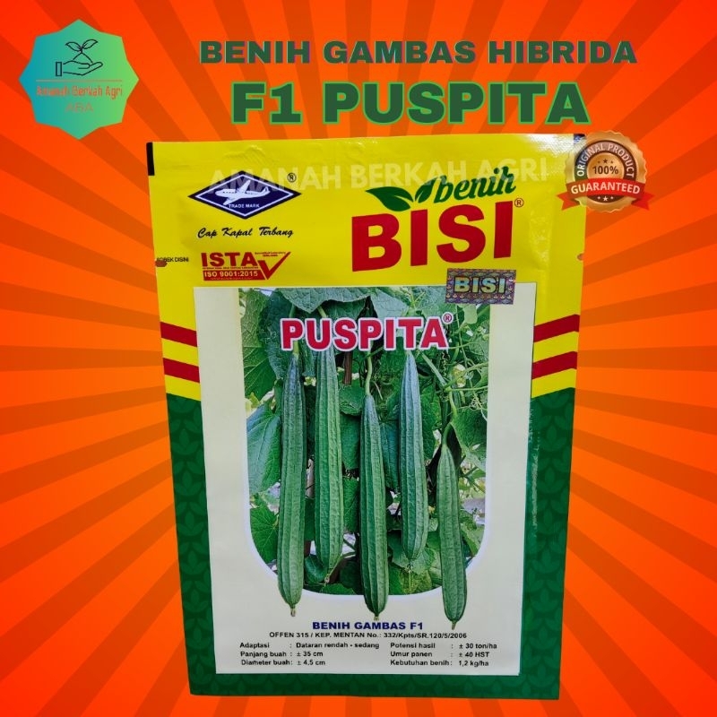 Benih Gambas Hibrida F1 Puspita kemasan 10gram Original 100%