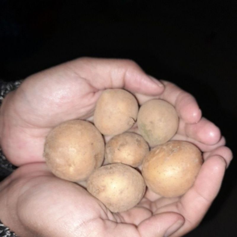 

babypotato 1kg