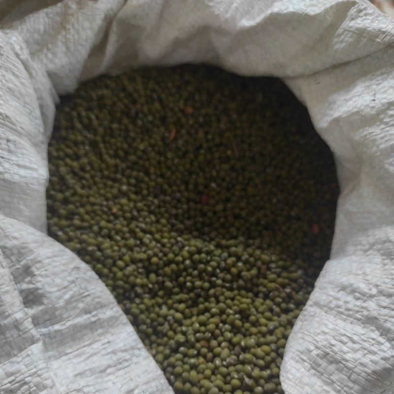 

Kacang hijau 2 kg