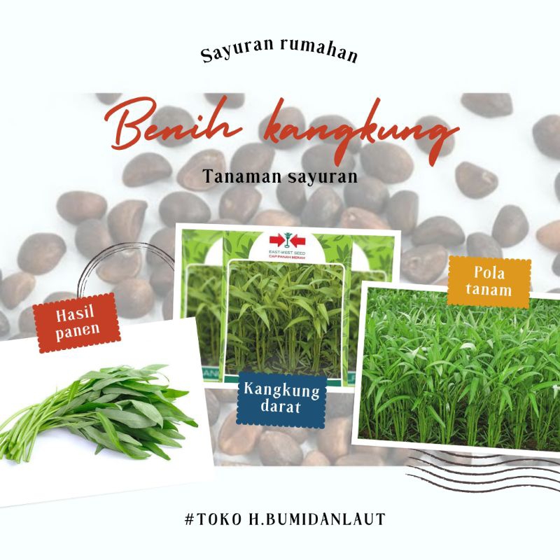 BENIH KANGKUNG/ SAYUR KANGKUNG