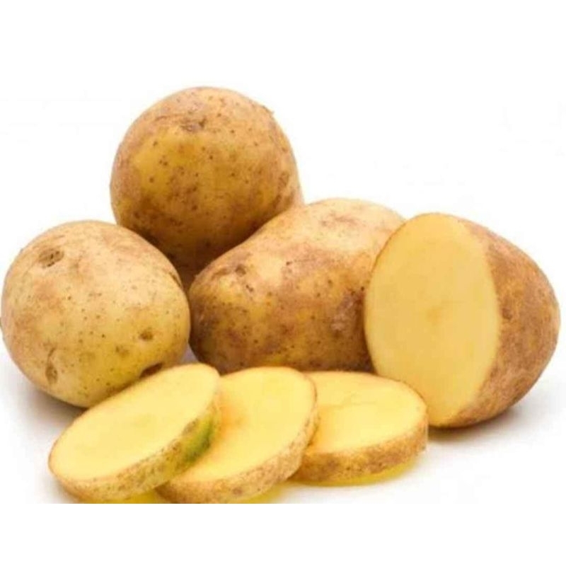 

Kentang Jumbo / Besar 1 KG