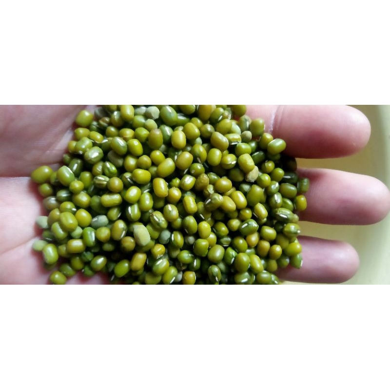 

Kacang Ijo 1kg Murah