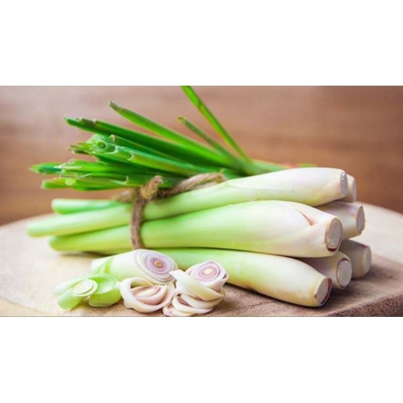 

serai /sereh dapur segar