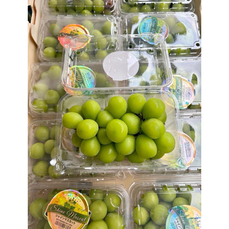 

anggur muscat ijo promo 500gr
