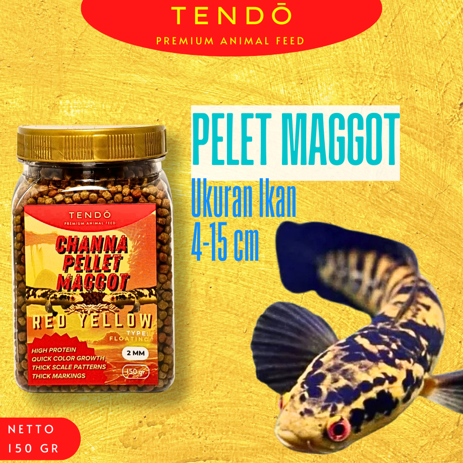 KL Pakan Channa Maru YS Premium Maggot Kering Udang Pelet Warna Bunga Channa Yellow Sentarum Tendo
