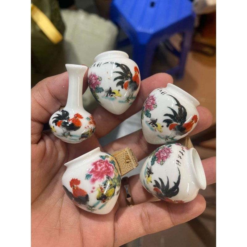 Cepuk cungkok burung kecil