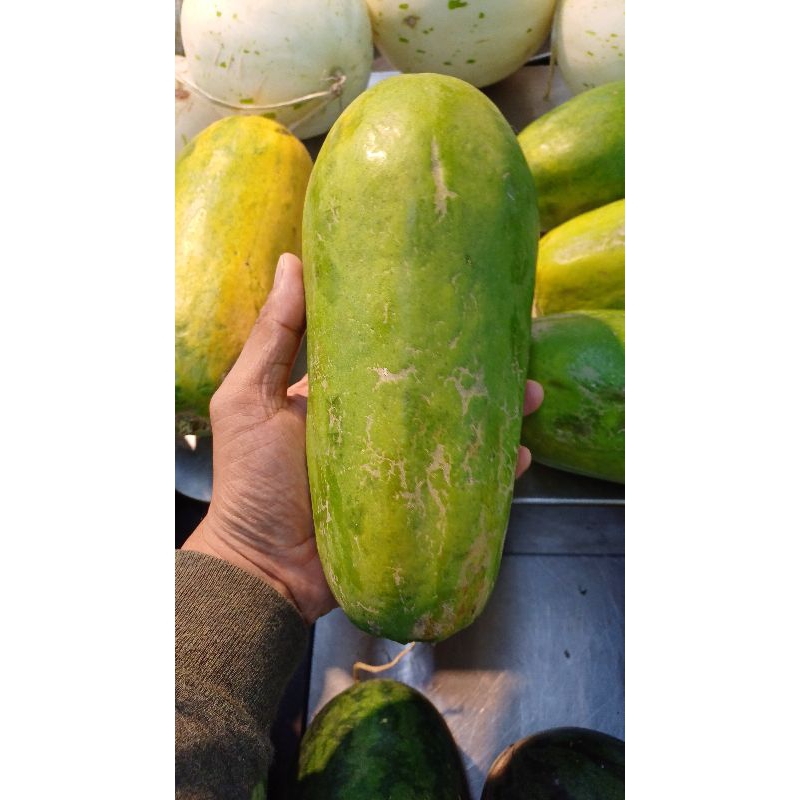 

Pepaya California ‼️ 25.000/kg (±1.4kg)‼️ bisa kirim instan untuk area Surabaya