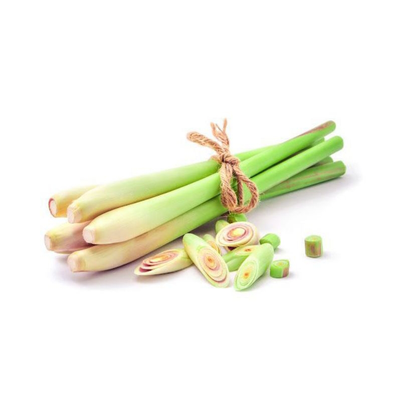 

sereh bumbu dapur