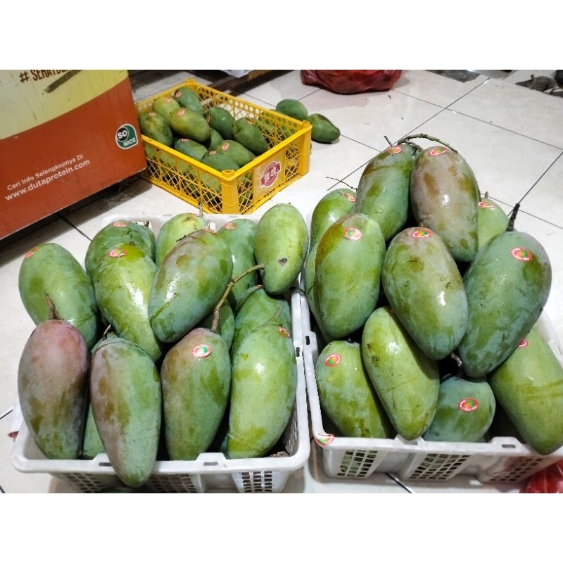 

mangga