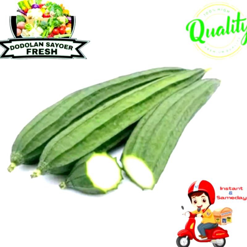 

Sayur oyong/sayur gambas Fresh pilihan