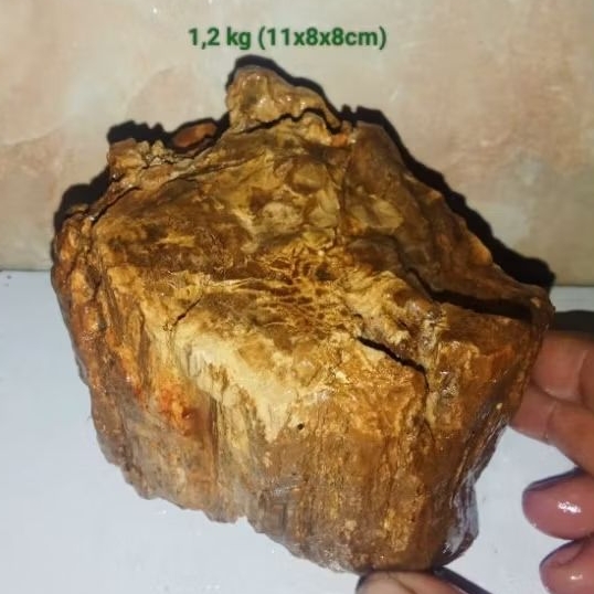 batu akik bahan fosil aren (835)