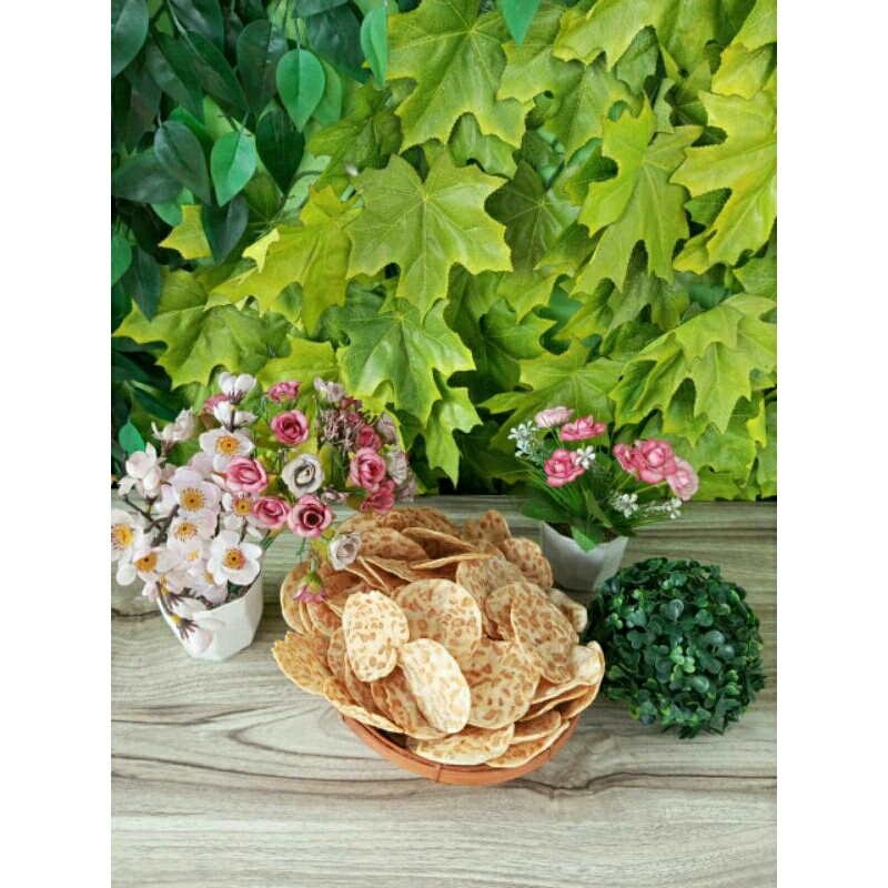 

Keripik tempe gurih 250gr