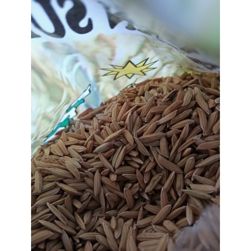 

DIJUAL Benih Padi Inpari 32 || Kemasan 5 Kg