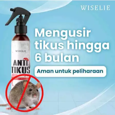 Wiselie Semprotan Pengusir Tikus Alami Obat Pengusir Anti Tikus Ampuh Disinfectant Spray