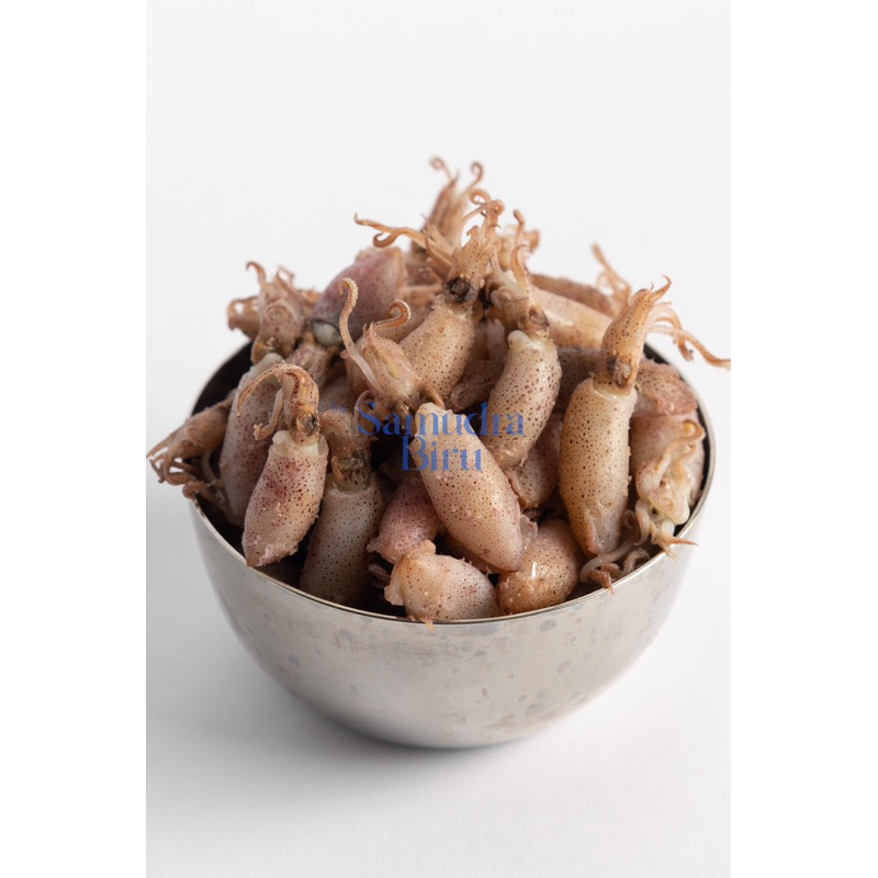 

Baby Cumi Asin Premium Khas Medan Alami Harum Enak Fresh