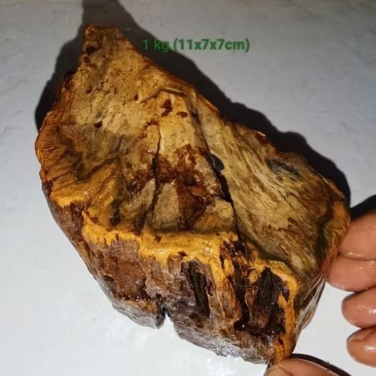 batu akik bahan fosil aren (816)