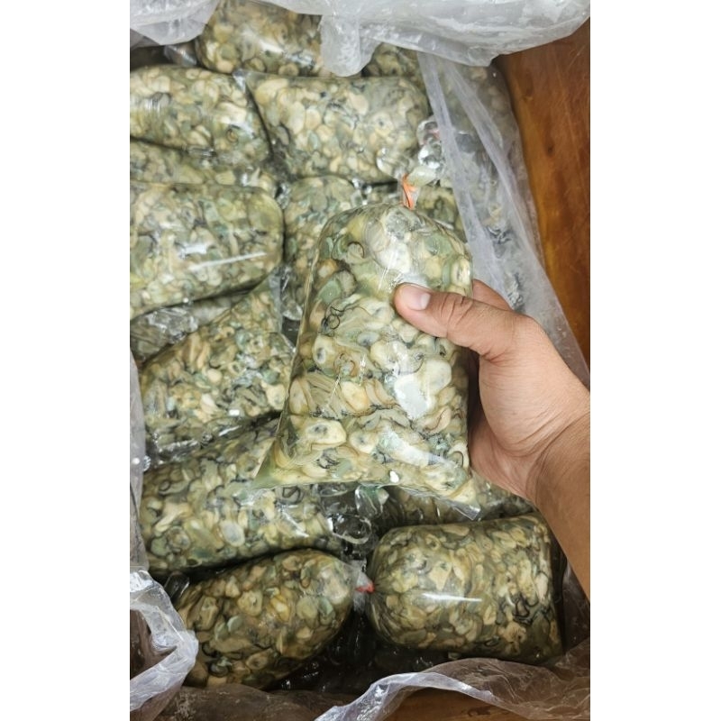 

Daging Tiram Fresh Harian