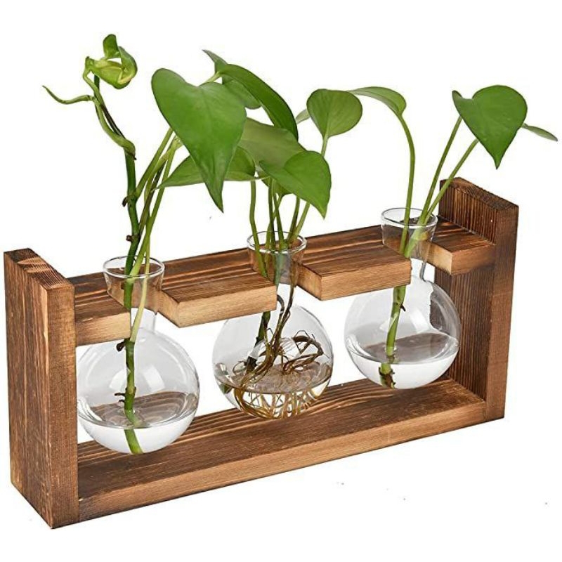 HIASAN DEKORASI POT KACA GANTUNG ISI 3