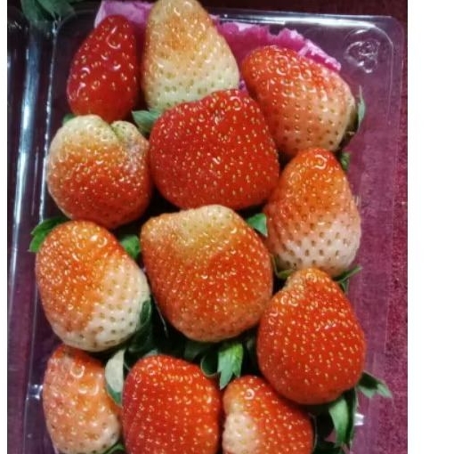 

Buah Strawberry 250 gr