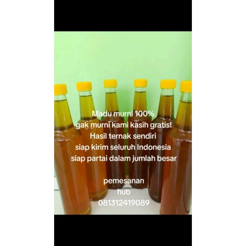 

Madu murni asli 100%