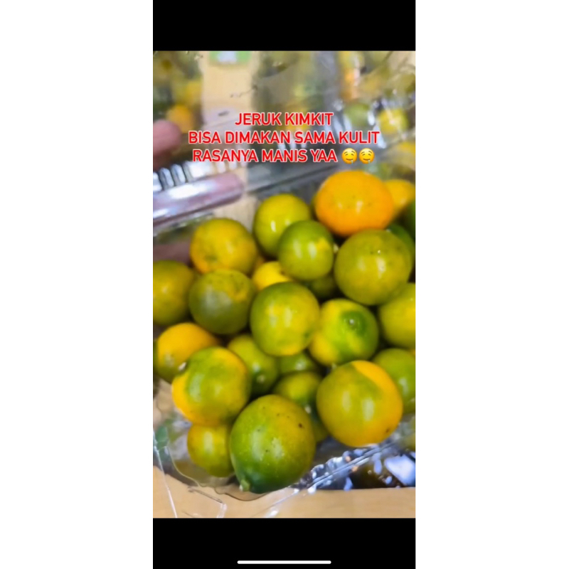 

Jeruk kimkit perpack / jeruk bisa dimakan sama kulitnya