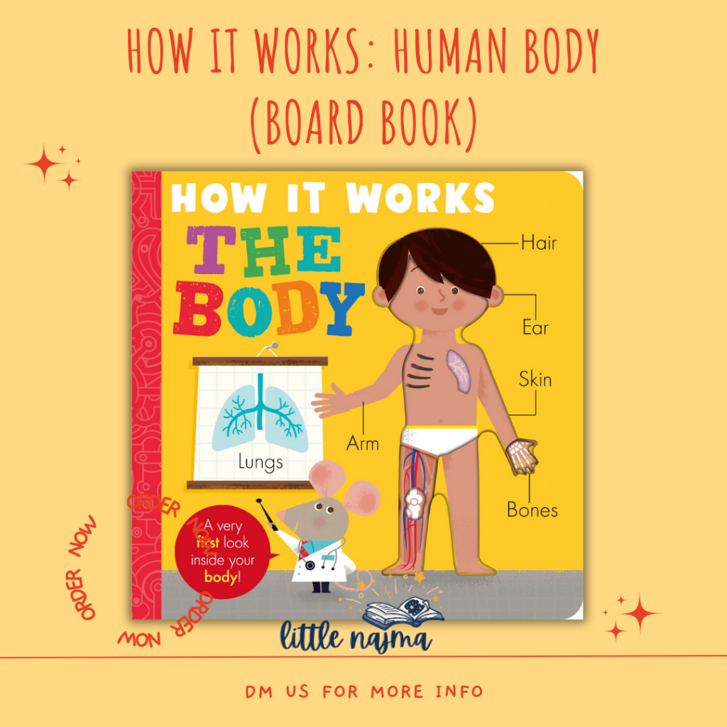 How it Works : Human Body (Board Book)