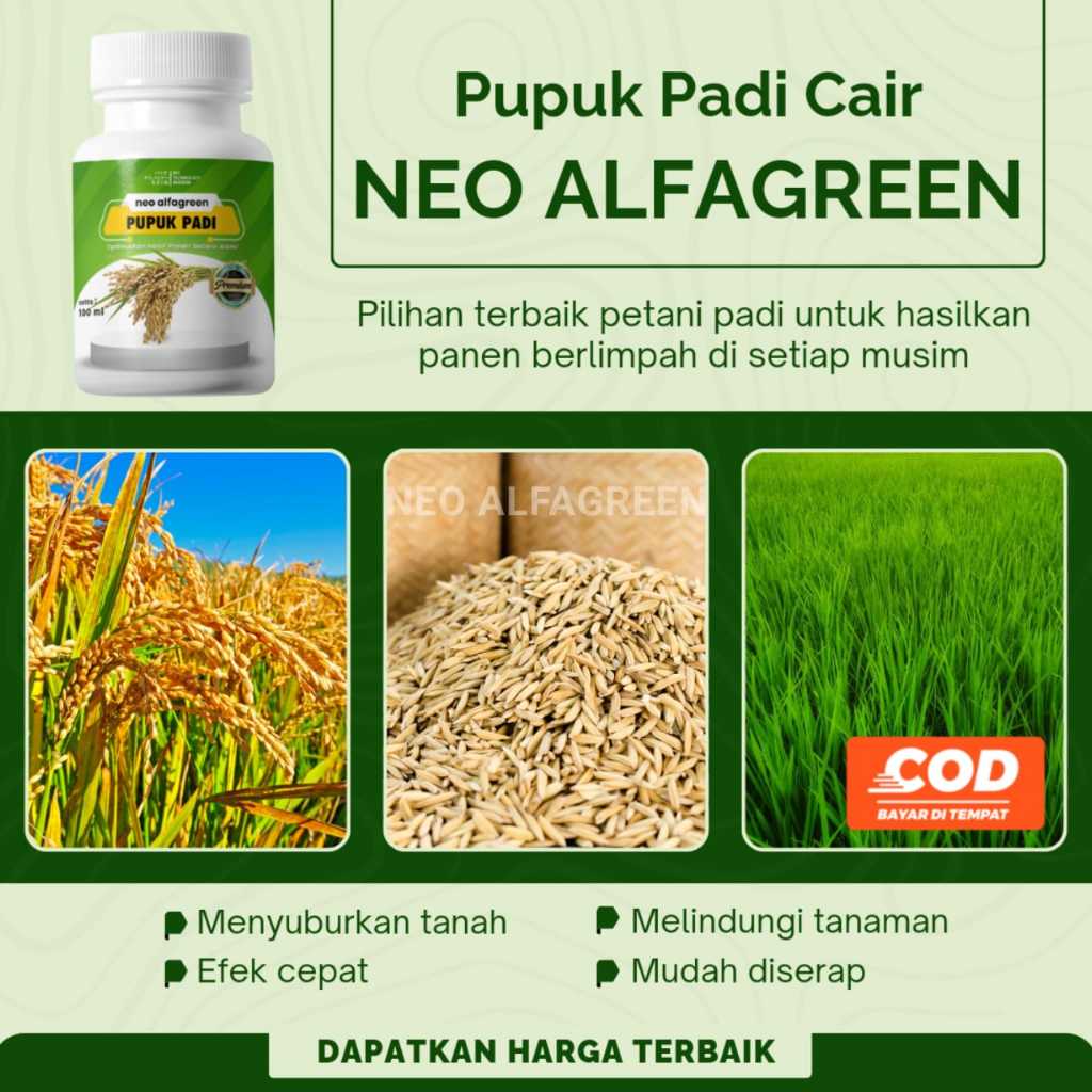 Pupuk Penyubur Tanaman Padi Fungsida Pupuk Peningkat Bobot Hasil Panen Padi  Pupuk Anti Rontok Padi
