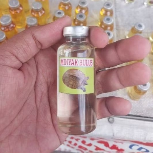 Minyak Bulus Putih Asli Kalimantan Ukuran 30Ml Botol Kaca