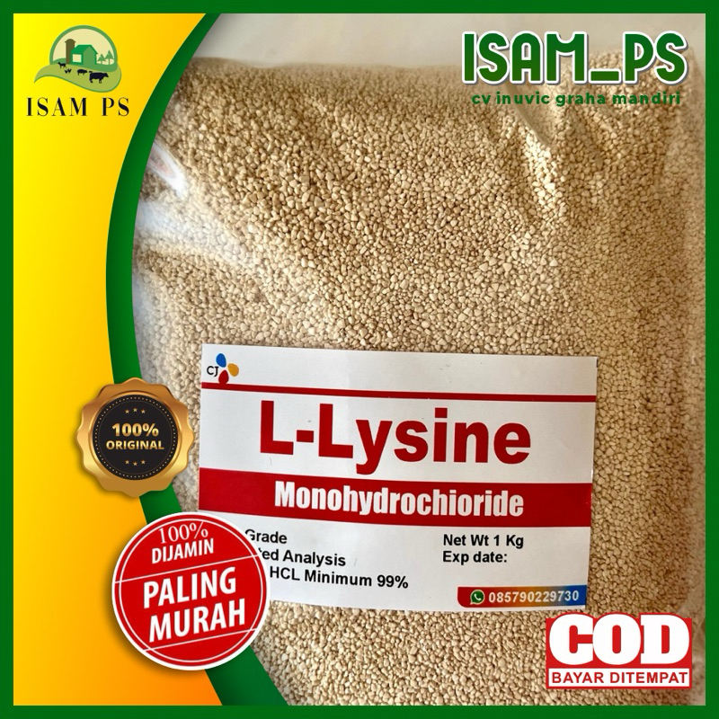 lysine 500gr asam amino hewan (Best amino CJ)