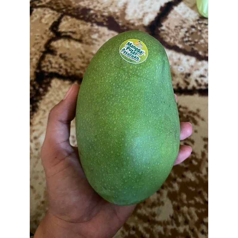 

Mangga Putar Pasuruan (Clonal21) Grade Super.. asli dari produksi Rembang Pasuruan