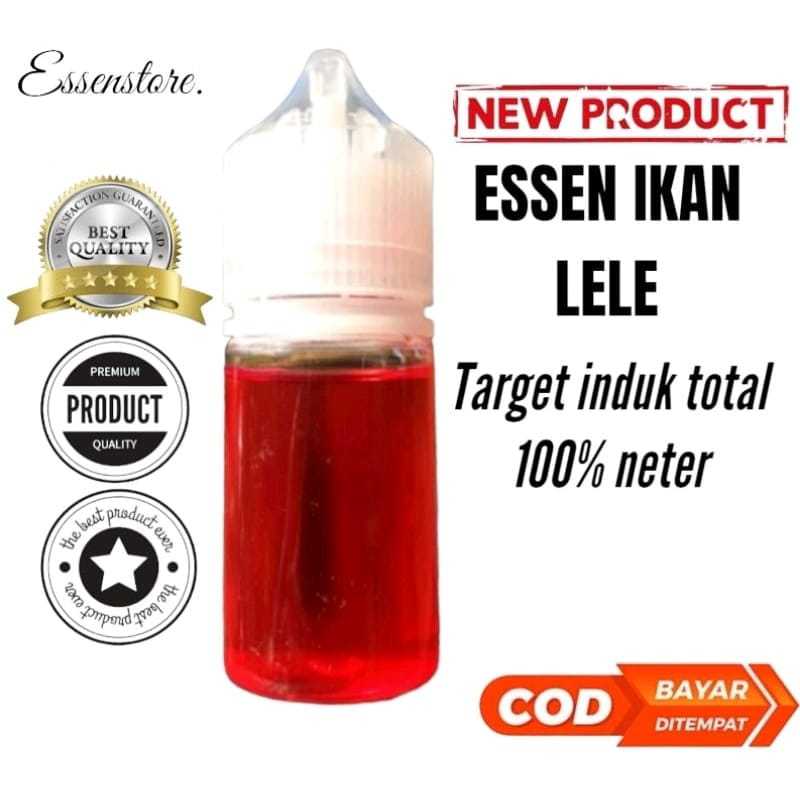 essen oplosan ikan lele essen indukan galatama galapung