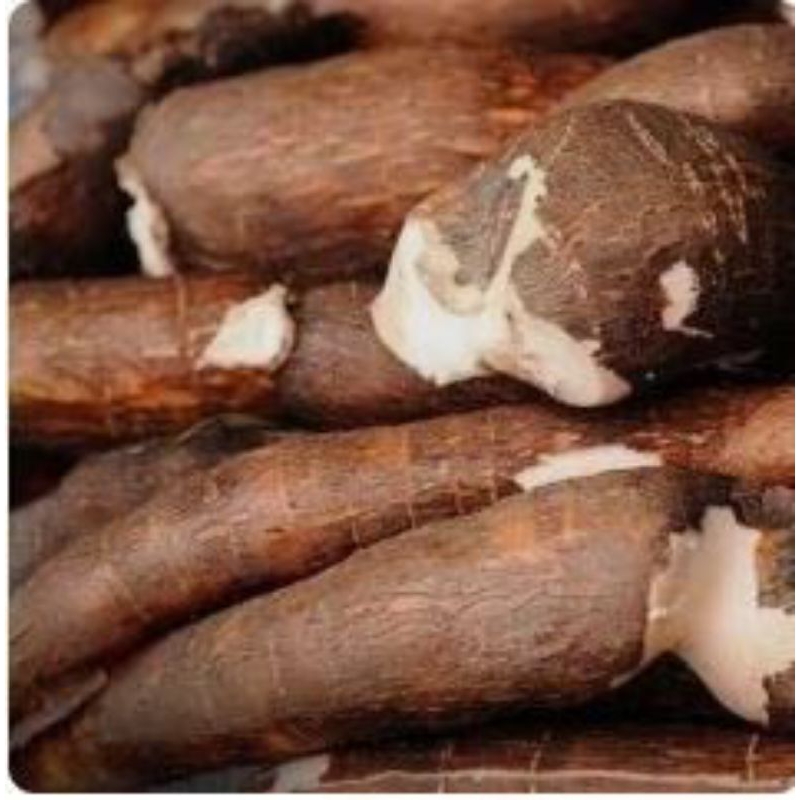 

singkong mentega super 4kg