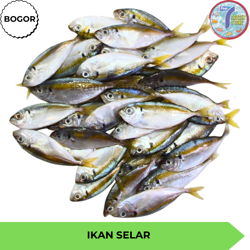 

Ikan Selar Beku Frozen kemasan 1 kg