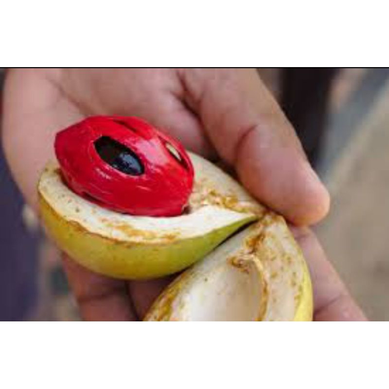 

BUAH PALA UTUH 1KG