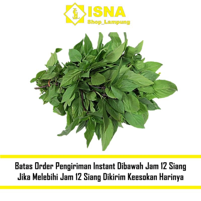 

Daun Kemangi Segar 1 ikat - Sayur Fresh