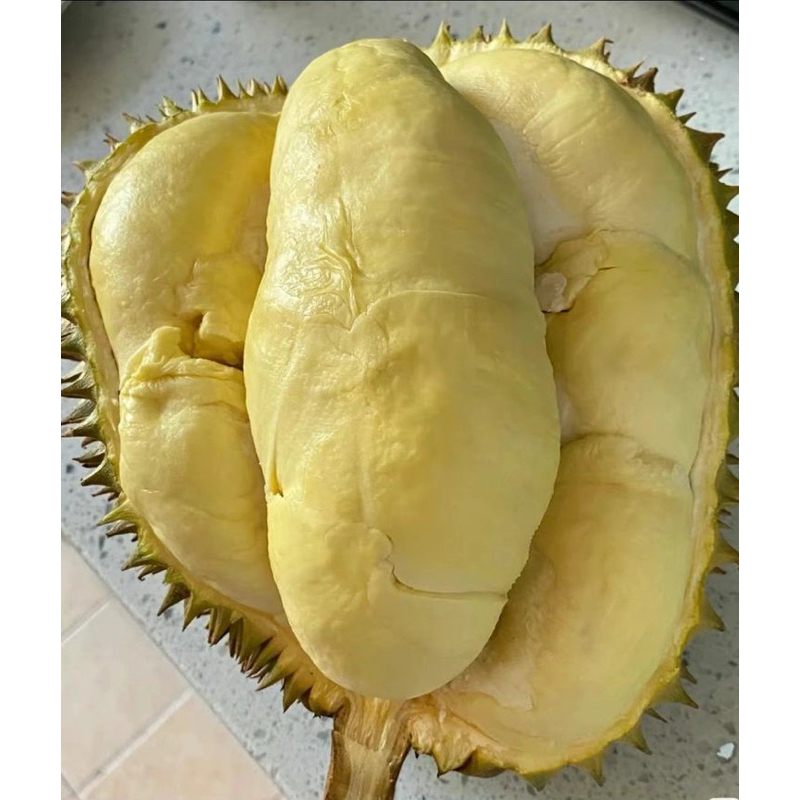 

Durian Musang King Freez Black Box Premium// DURIAN MUSANGKING FREEZ BLACK BOX PREMIUM 500GRAM