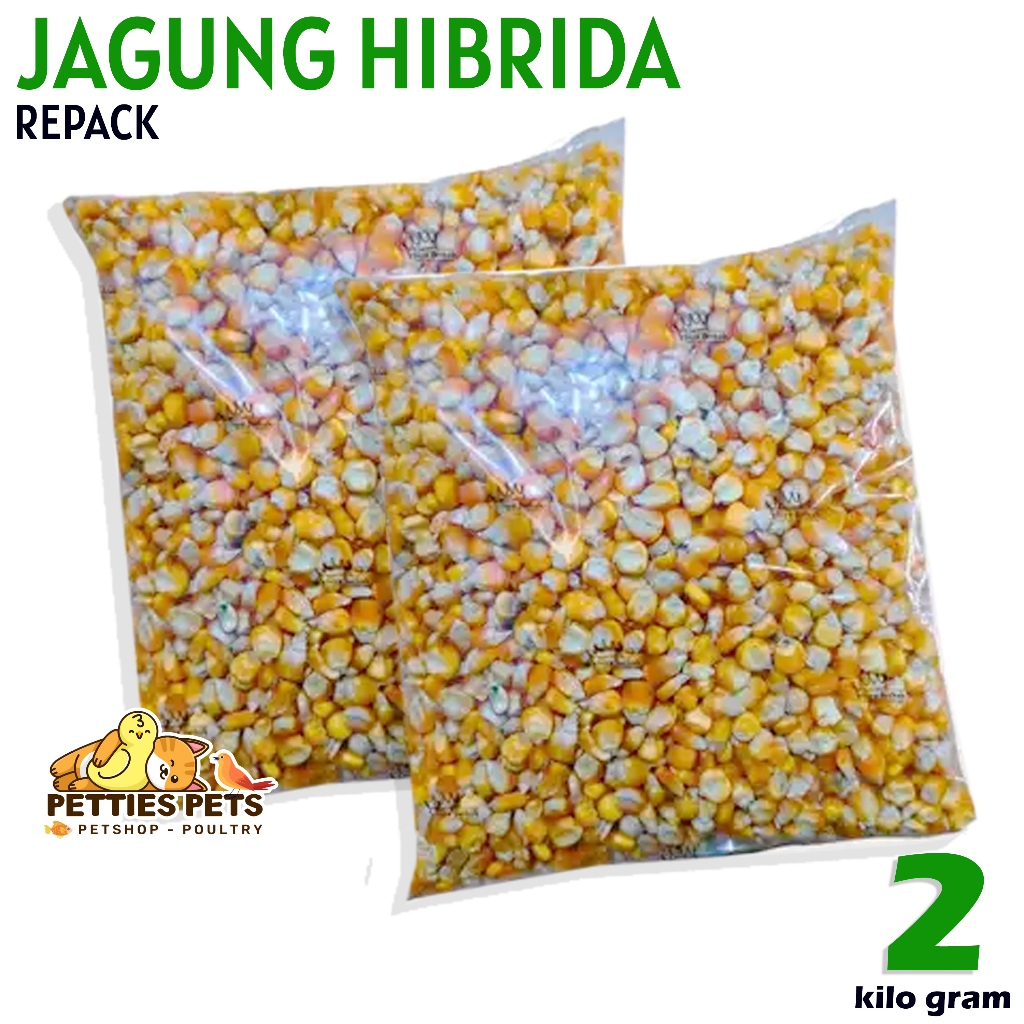PTS JAGUNG HIBRIDA MERPATI 2kg JAGUNG BURUNG DARA JAGUNG BURUNG MERPATI