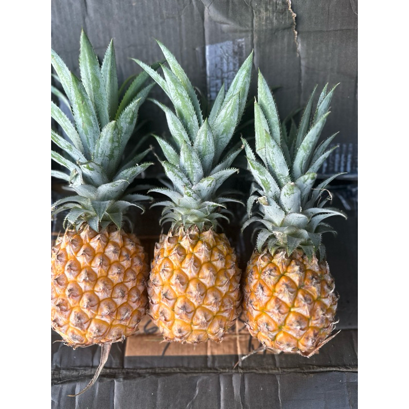

NANAS MADU