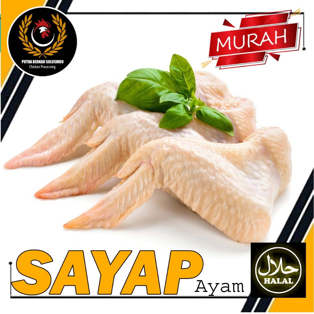 

RB Sayap Ayam Premium fresh Murah
