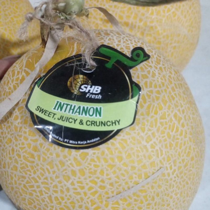 

MELON INTHANON