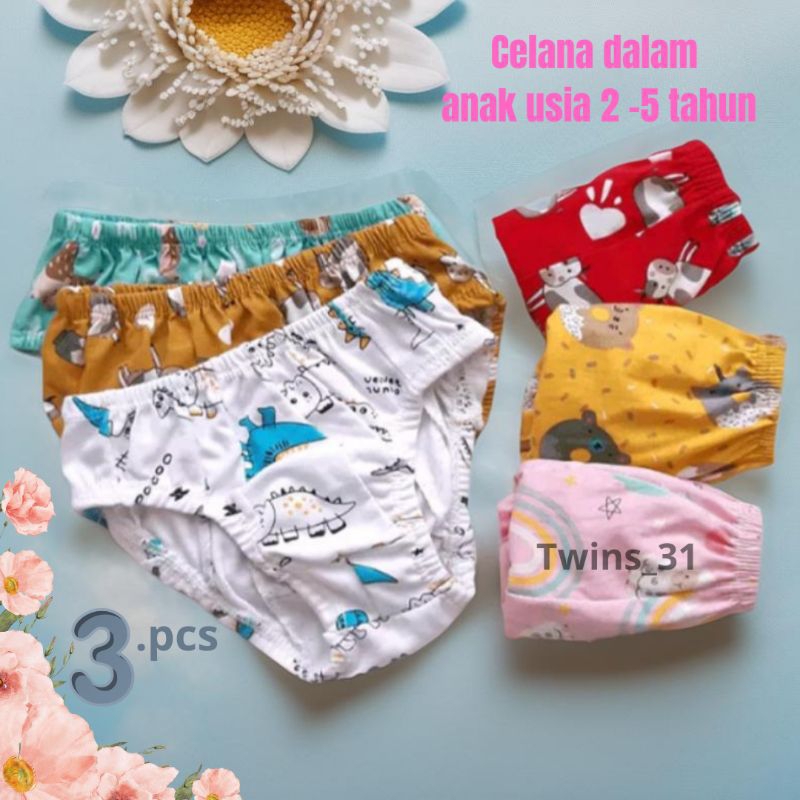 Celana Dalam Anak Usia 2-5 tahun isi 3 pcs CD velpet Anak perempuan Laki-Laki Celana Dalam anak Bali