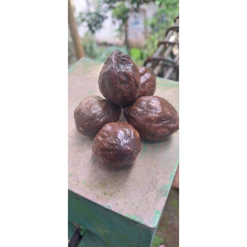 muncang adu (Muncang jalim)