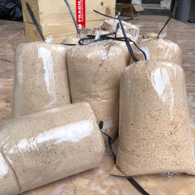 Serbuk Kayu Pinus Murah