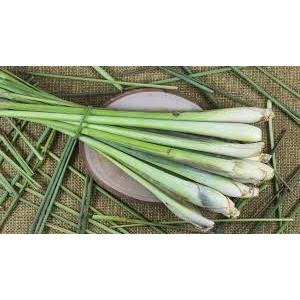 

Sereh Serai Segar Mayur Fresh Daily