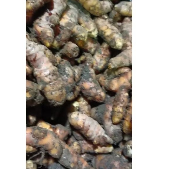 

KUNYIT MURAH ASLI SUPER BERKUALITAS TINGGI 1Kg